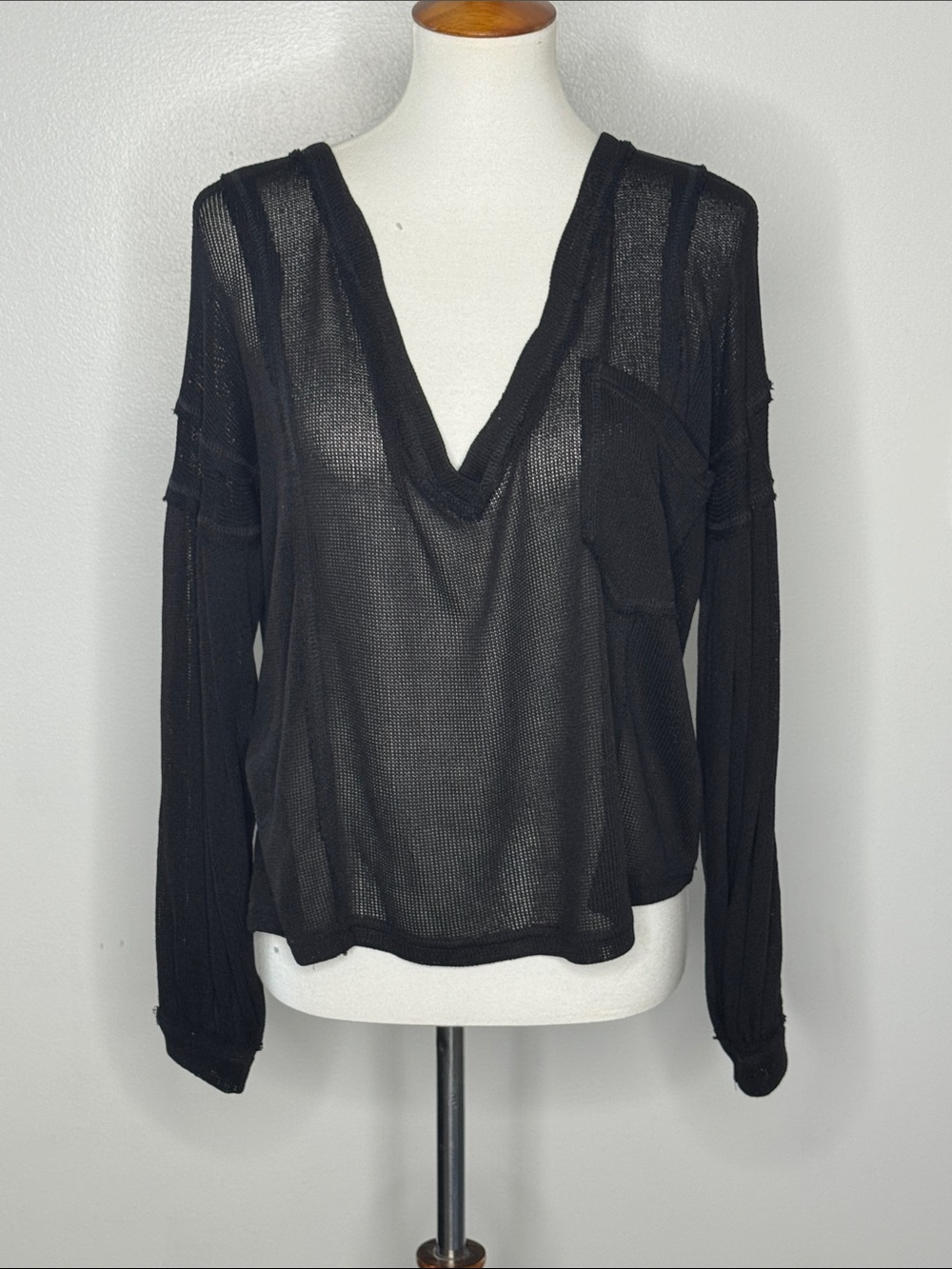 Vici Black Sheer V-Neck Long Sleeve Top